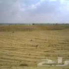 مطلوب ارض بابها