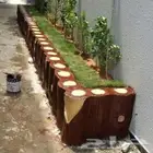 فن تنسيق الحدائق