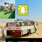 دينه من السعوديه ل قطر ومن قطر ل السعوديه