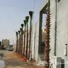 واشنطني جميع المقاصات