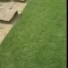 جميع انواع التيل الطبيعي انطورو ياباني الشرط