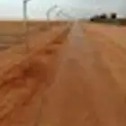 شبوك مزارع الجله المزاحمية تبراك القرنه الجافوره الرياض