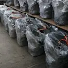 تايوتا و نسيان و كوري مكاين