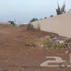 الباحة المخواه ناوان