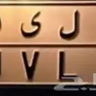 Wanted LEO license plate