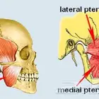 دروس خاصة لطلبة كليات الطب