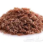 رز حساوي الاحساء