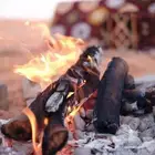 م تحلا طلعت البر الا مع الششبه