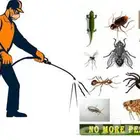 أدوات رش مبيدات مكافحة الصراصير بق بالمدينة المنورة