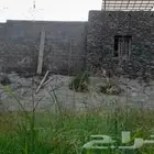 الخميس ابهاء احد رفيده تنومه النماص العلايه