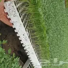 مشتل الصالحيه لنبات البذور