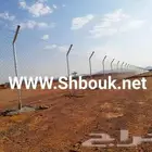 شبوك مزارع الطائف
