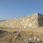 النماص حلباء بني عمرو سبت العلايه