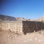 الرياض