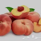 شتلة خوخ كعب الغزال المطعم   عمر سنتين