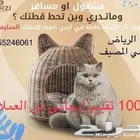 استقبال فندقة طيور وقطط فوق 120 تقييم