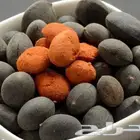 حمر جاوي فاخر حبة كبيرة وطازجة