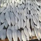 عظم حبار كالسيوم