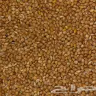 مليساء علف الطيور (بادجي   زيبرا   روز   كروان)