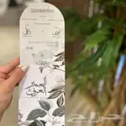 اظرف