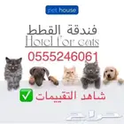 فندقة قطط وطيور - وقت سفرك