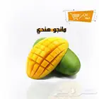 أجود أنواع المانجو من مزارع جازان لكافة أنحاء المملكة
