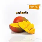 تذوق أجود أنواع المانجو لدى ثروات جازان