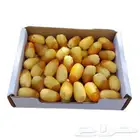 تمر إخلاص