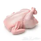دجاج مجمد نخب أول - جملة