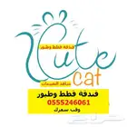 فندقة قطط وطيور حي المصيف الرياض - شاهد التقييمات