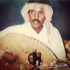 للبيع فلاشات المطربين