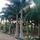 القصيم الرياض المزحميه تبرك ضرام المشعله الجله البخه مرت شقر