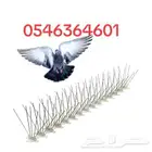 طارد الحمام تبوك الطيور