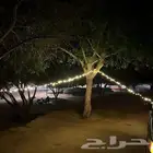 لمبة وعقد بطول 10 متر