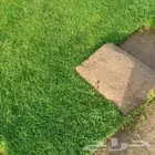نجيله طبيعيه