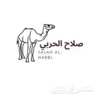 صانع مصمم لوقو