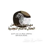 تصميم شعار او هويه