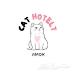 فندقه قطط