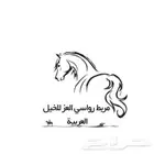 تأجير خيل للمناسبات