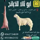 يوجد ذبايح للبيع اقساط