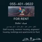 سكن للايجار Housing for rent NEOM ضباء