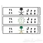 لوحة ثنائي رقم 24 و م ل خصوصي