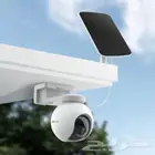 الرياض