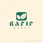 تصاميم جرافيك