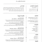 سيرة ذاتية CV عرض خاص محدوده لمدة 24 ساعه و ينتهي