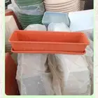 احواض و مراكن زراعة صغيرة و كبيرة