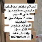 طيور