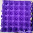 اطباق بيض فارغه مقاس 15 و 17