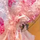 السلام عليكم معلم غزال الجزار مصري يبحث عن عمل خبر عاليه