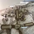 المدي